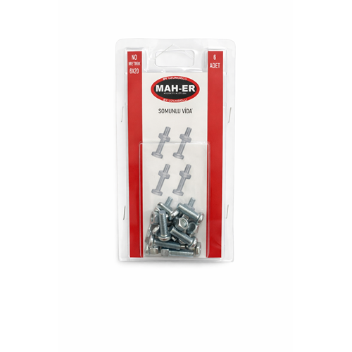 MHR-123 SOMUNLU VİDA 6X20 6AD